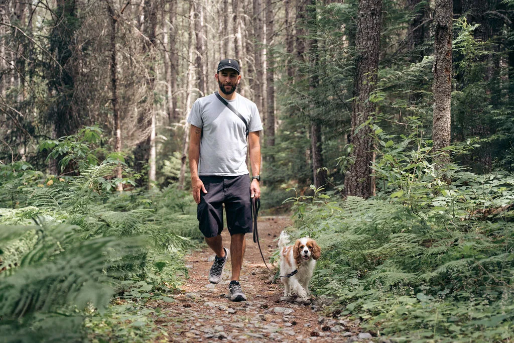 Doggy Tales handler in a ball cap walking a Cavalier King Charles Spaniel on a fern-lined Whistler forest trail