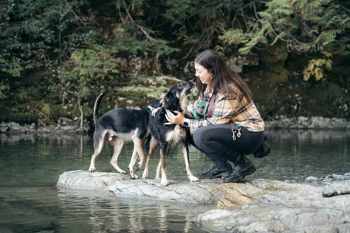 Abbey — certified dog trainer at Doggy Tales Whistler, working with a client dog