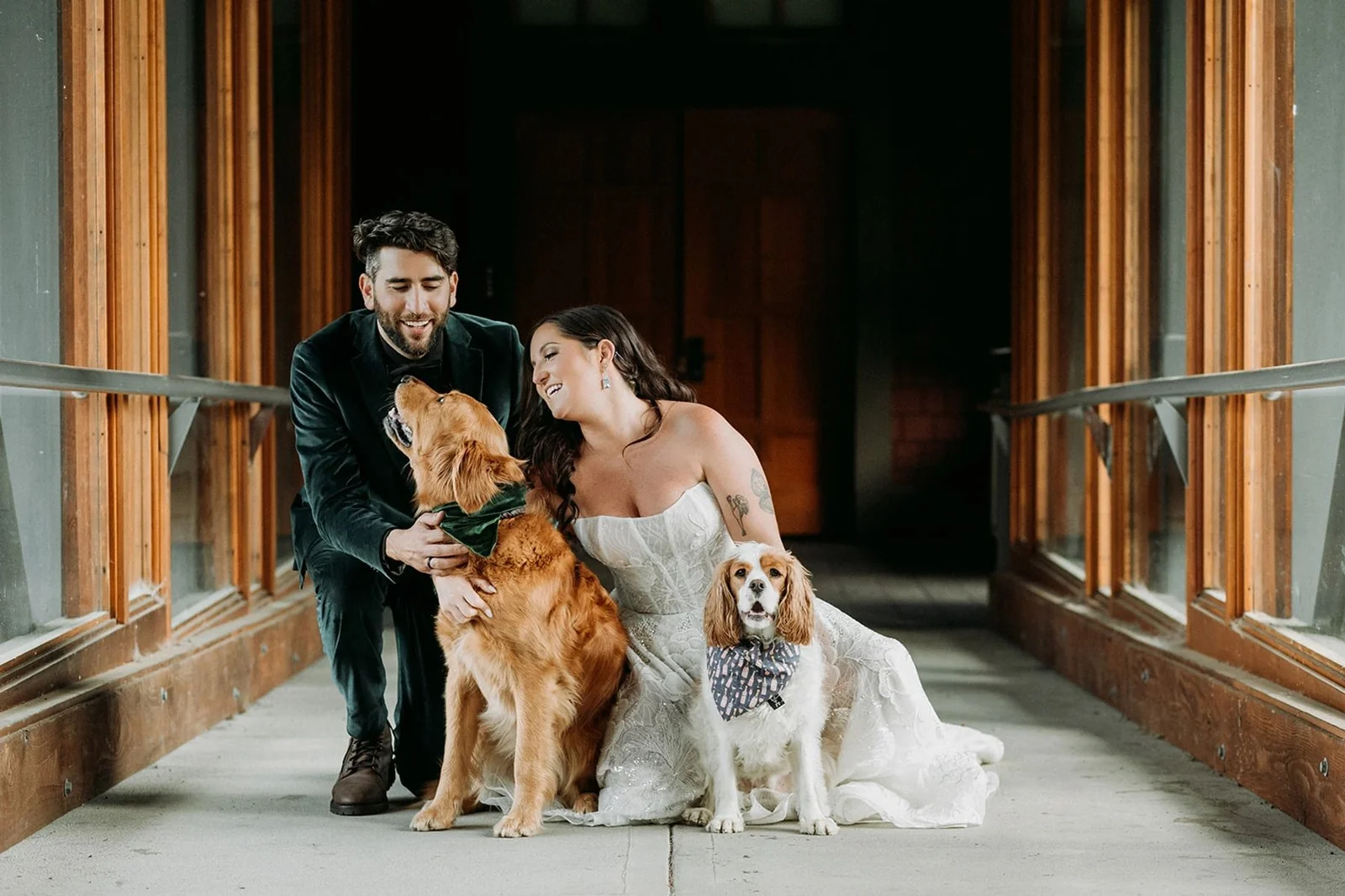 Couple with two dogs on their Whistler wedding day