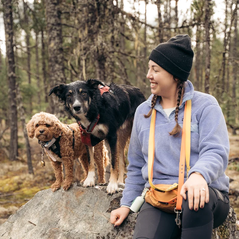 Abbey — Doggy Tales Whistler team
