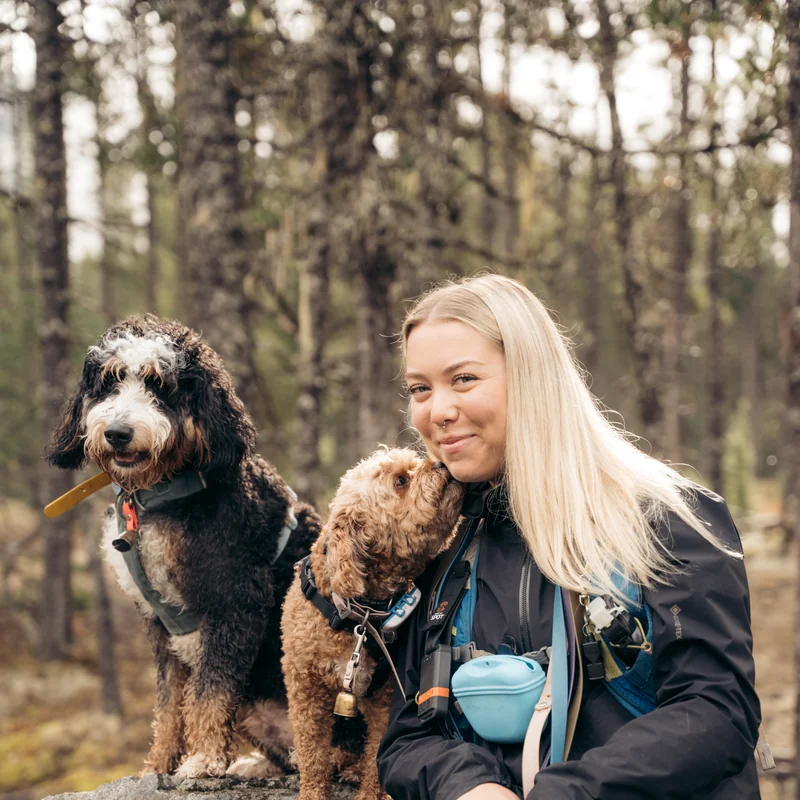 Kenzie — Doggy Tales Whistler team
